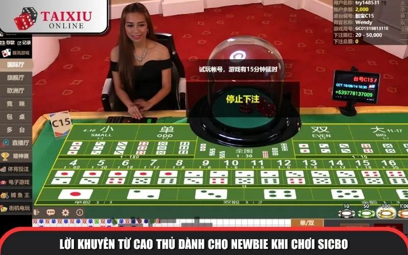 Lời khuyên từ cao thủ dành cho newbie khi chơi sicbo